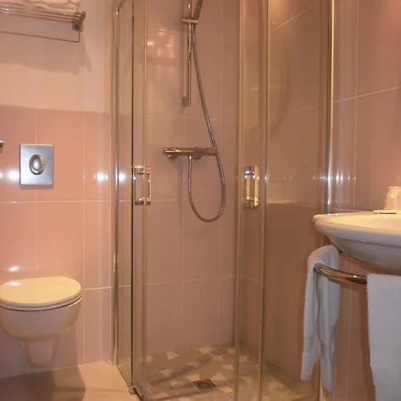 Hotel Des Rosiers Lourdes