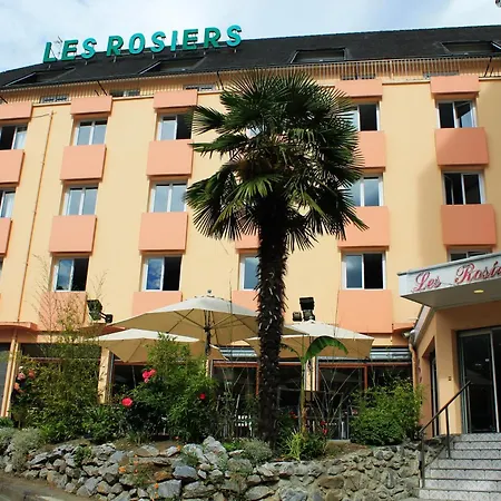 Hotel Des Rosiers Lourdes